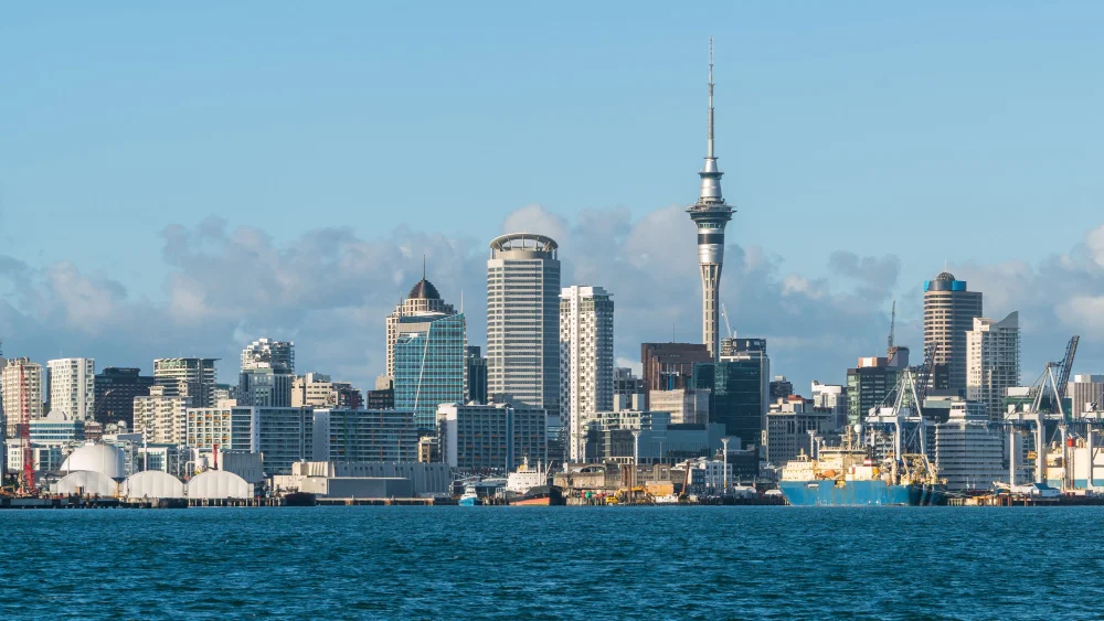 Professional Student Visa Guidance